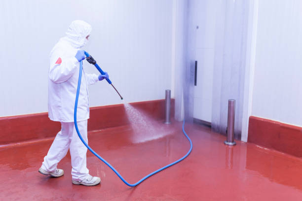Best Paint Preparation  in Barton Creek, TX